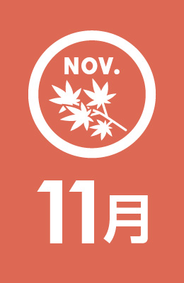 11月