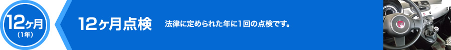 12ヶ月（1年）,12ヶ月点検,法律に定められた年に1回の点検です。