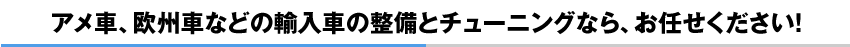 車は人生のパートナー。楽しいカーライフをお客様へご提供致します。