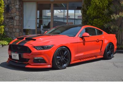 フォード マスタング EcoBoost 2.3L 50th YEARS EDITION / フル