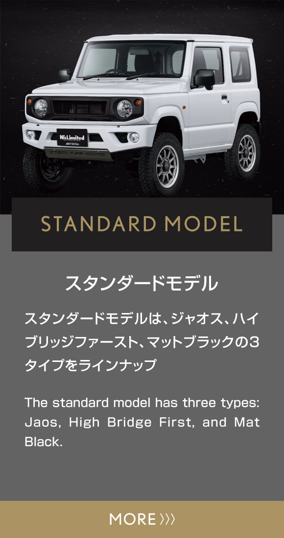 STANDARD MODEL スタンダードモデル