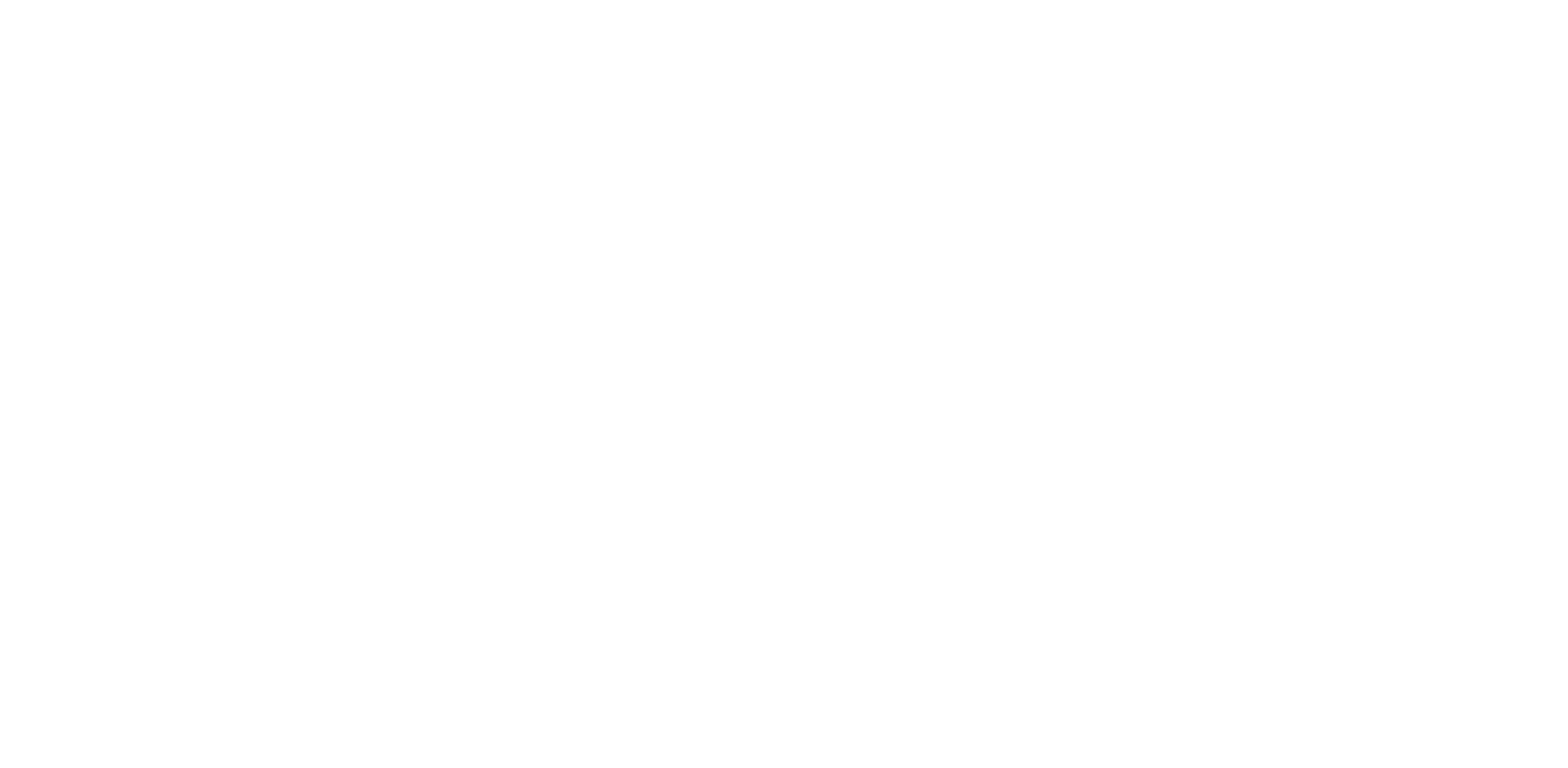 N's LIMITED